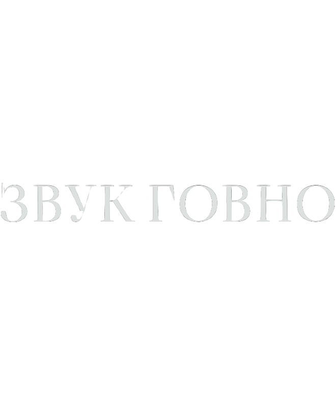 Футболка OVERSIZE (ЗВУК ГОВНО)