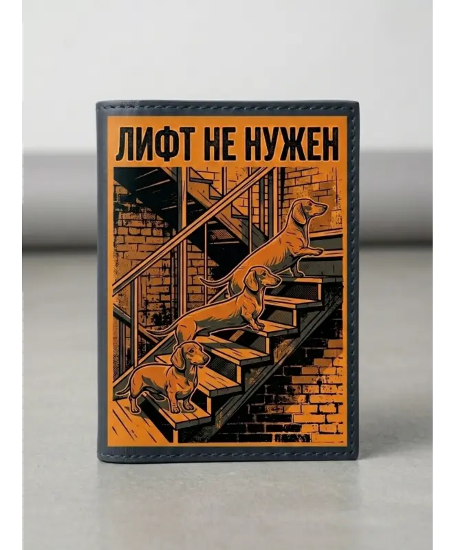 Обложка на паспорт (цветная обложка) (Лифт не нужен)