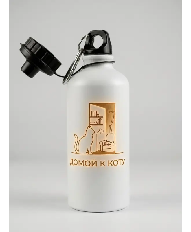 Бутылка Алюминиевая (Домой к коту)
