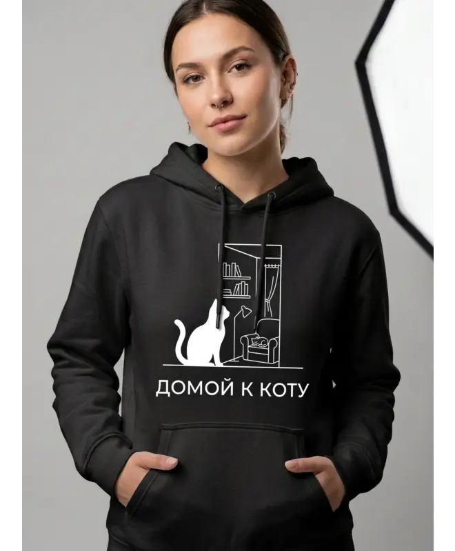 Худи Классика (Домой к коту)