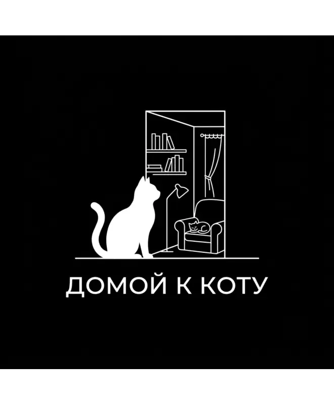 Футболка Оверсайз (Домой к коту)