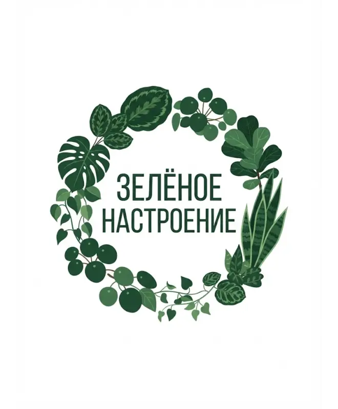 Свитшот (Зеленое настроение)