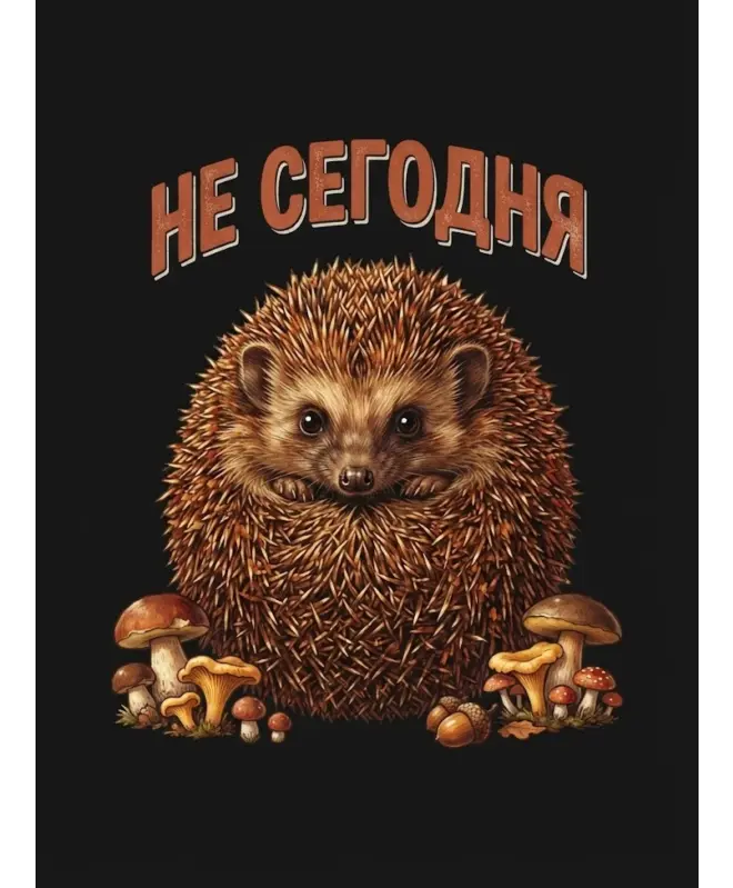 Худи Оверсайз (Не сегодня)