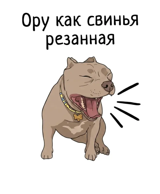 Футболка Оверсайз (Ору)