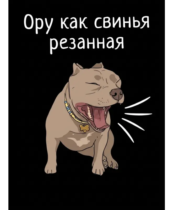 Футболка Оверсайз (Ору)