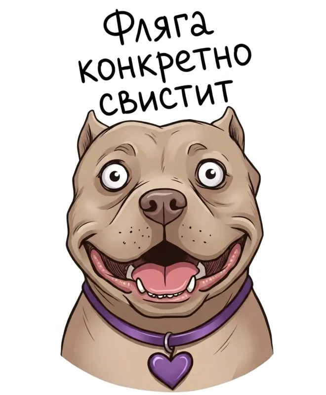 Футболка Оверсайз (Фляга конкретно свистит)