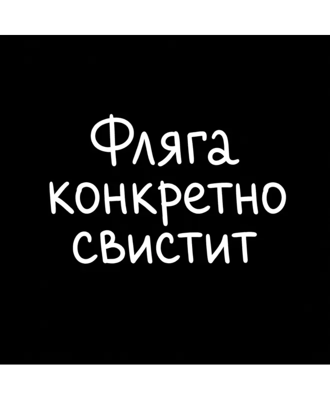 Футболка Оверсайз (Фляга свистит)